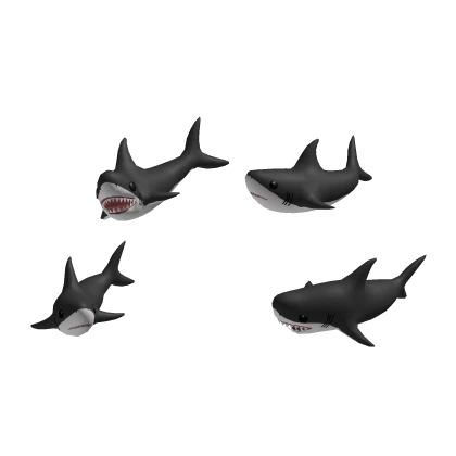 Shark