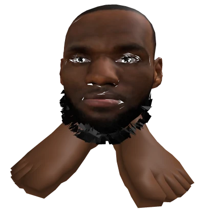 Cursed Lebron James Back Pal
