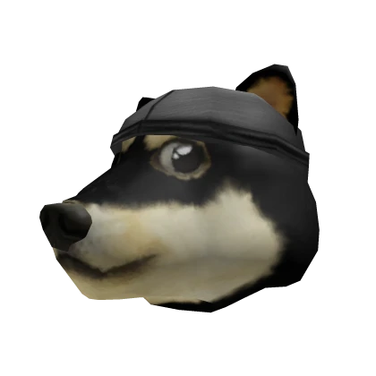 Durag Doge
