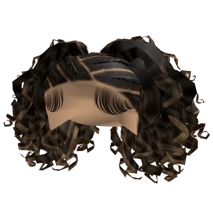 Braids with Curls [brown & blonde]