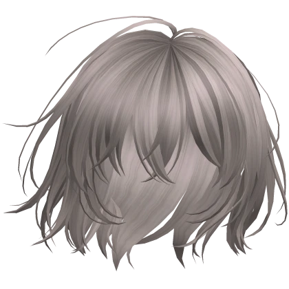 Ash Anime Windy Bob