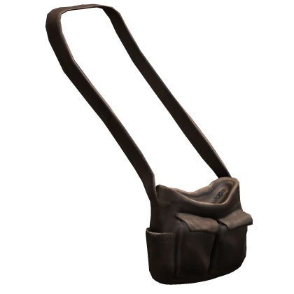 Brown Crossbody Bag 1.0