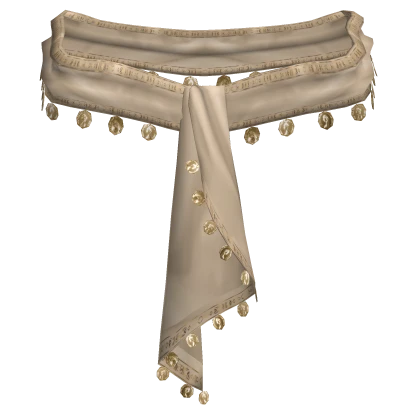 3.0 Elegant Coin Satin Beige Gold Scarf Belt