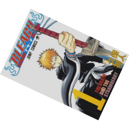Bleach Manga Volume 1