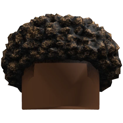 Sponged Afro with Taper Fade (Blonde Highlights)