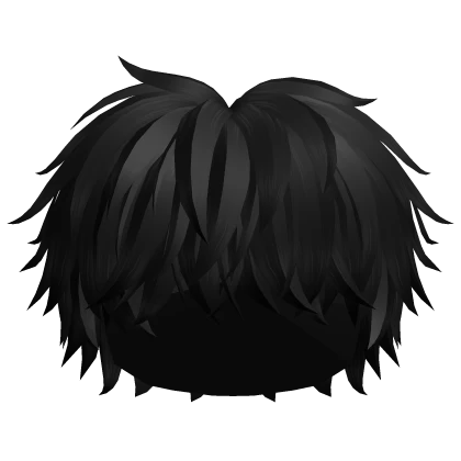 Fluffy Messy Emo Boy Hair (Black)