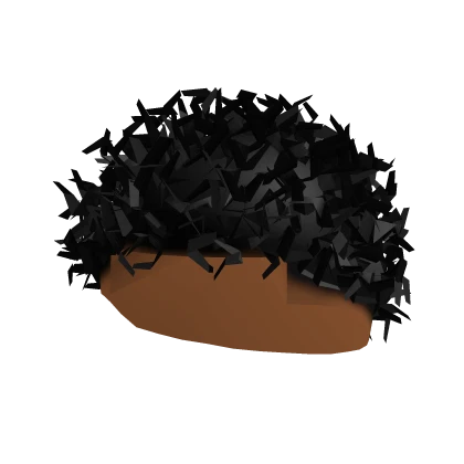 Short Curly Black Hair 