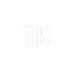 Max Level Studios