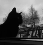 Ghoul://RE Battlegrounds