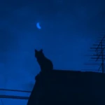 moonsniper