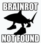 notanotherbrainrotgame