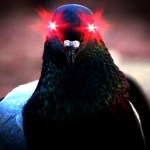 The LazerPigeon Community