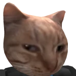 Maxocado_Avocado