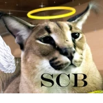 SCB - Roupas Baratas 6