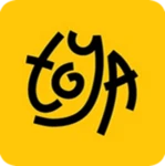 ToyaStudio_MiraculousTD