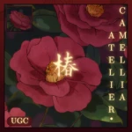 Camellia Atelier