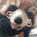 lótso