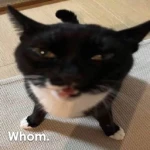 Whom.