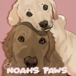 Noahs Paws