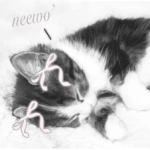 neewo'