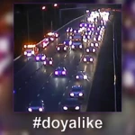 doyalike