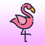 Shy Flamingo Shop