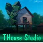 THouse Studios