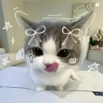 Selling Shirt Big Games!!