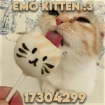 emo kitten :3