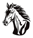 Horses Community