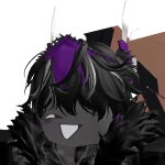 flasy_plox