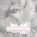 angelpaws emotes