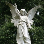 Meilleur marché de heads