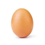 Eggstreme UGCs