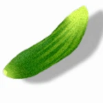 Pepino Studio