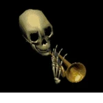 Super Skeleton Studio