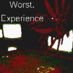 Worst. experience