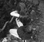11,
