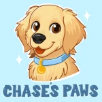 Chases Paws