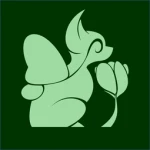 LittleDragonStudios