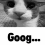 goog.