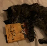 The Purrfect Pals