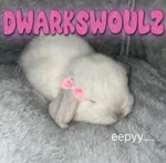 dwarkswoulz