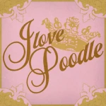 I LOVE POODLE!