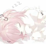 kitti.