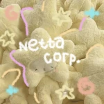 Netta Corp.