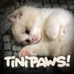 tinipaws