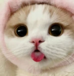 Rainbow Fun Games Studio