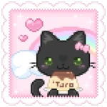 'taro