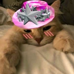 Purrfect UGC